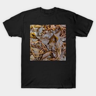 Seaweed 2 T-Shirt